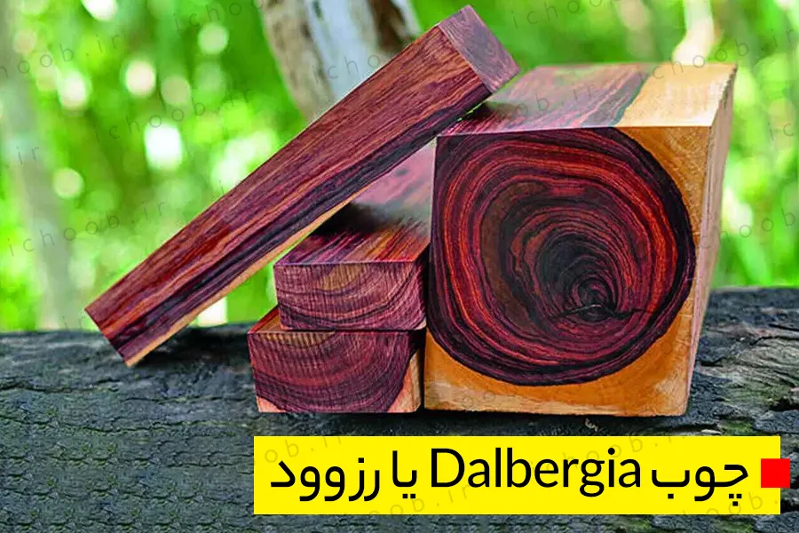 چوب Dalbergia