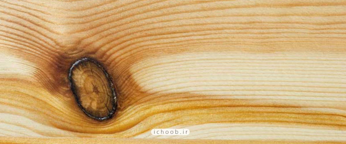 چوب,شناخت چوب،بیماری چوب,خرابی چوبی,خرید چوب,آموزش خرید چوب,ایرادات چوب,الوار روسی,چوب مرغوب,چوب نامرغوب,