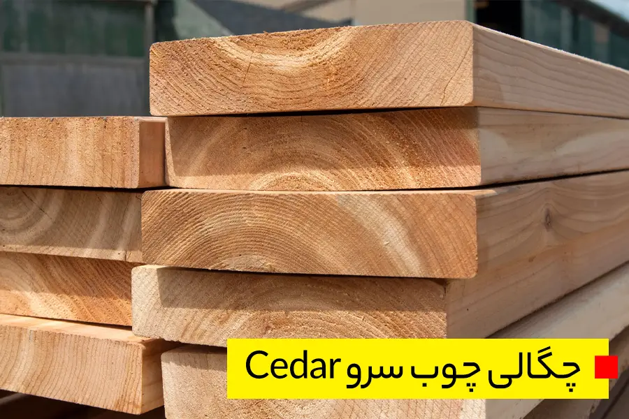 چوب سرو Cedar