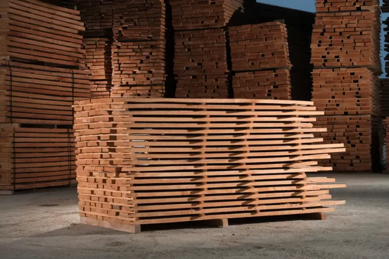 قیمت و شناخت چوب راش