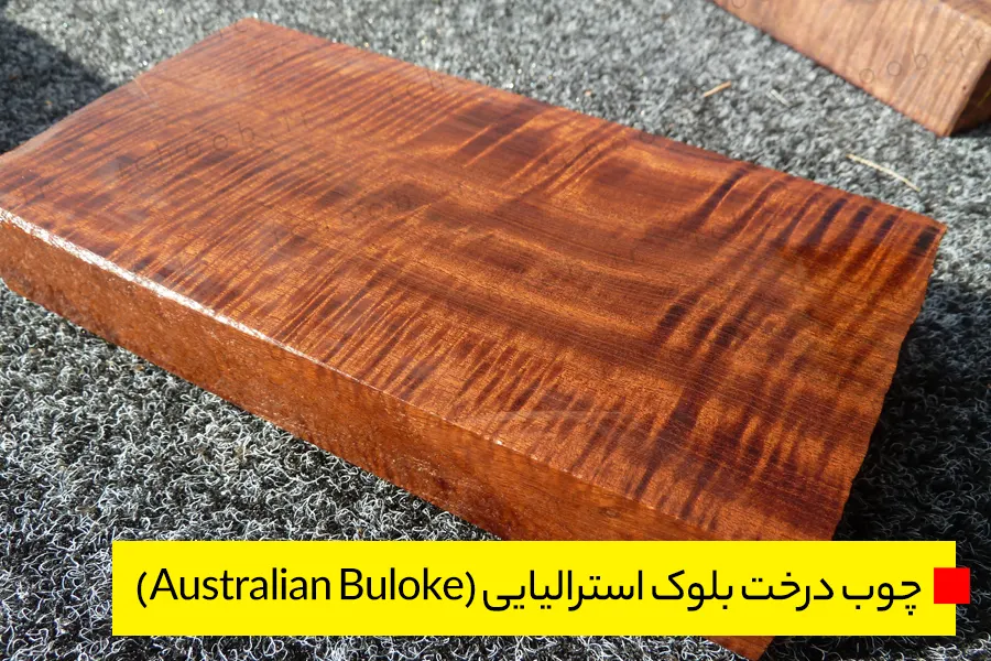 چوب درخت بلوک استرالیایی (Australian Buloke)