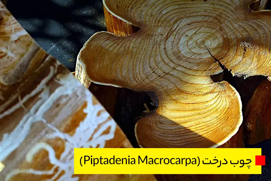 چوب درخت (Piptadenia Macrocarpa)